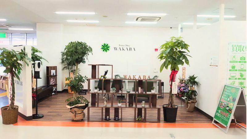 買取店わかば 富山ショッピングタウン北の森店